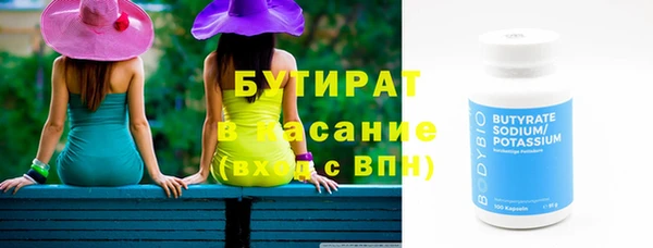 индика Заполярный