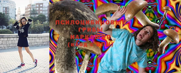 соль курить ск Заречный